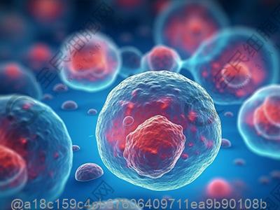 楚雄干细胞多少钱一针?附干细胞费用介绍