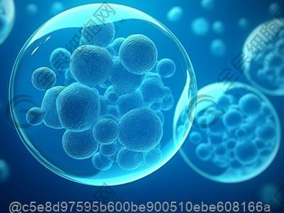 温州干细胞多少钱一针?附干细胞费用介绍