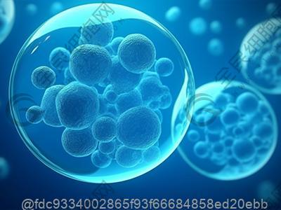 本溪干细胞移植哪个医院好,本溪干细胞移植医院排名分享