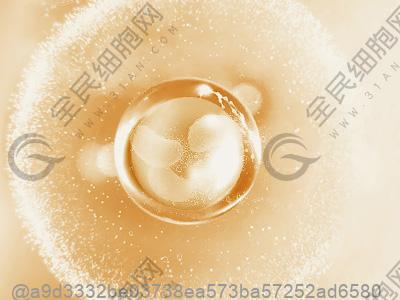 楚雄医院有没有betwayAPP下载治疗