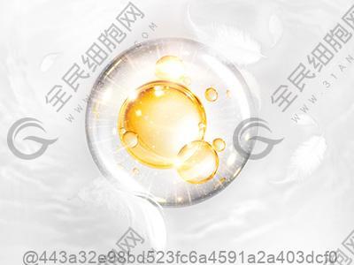 九江干细胞的注射费用是多少钱?附价格表