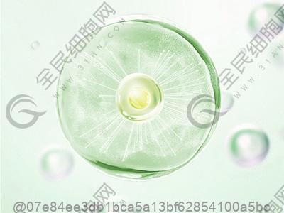 绵阳干细胞多少钱一针?做干细胞的价格具体是多少