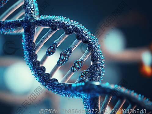 日照干细胞治疗肌无力综合征较好的医院