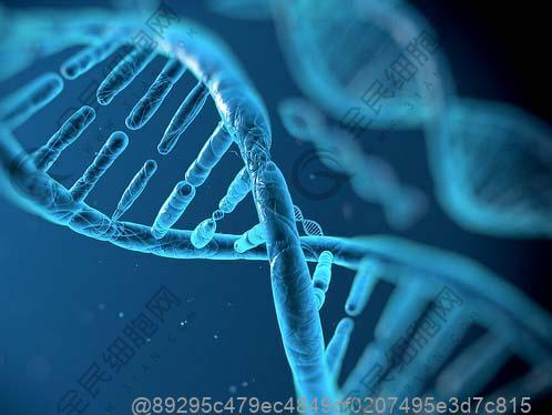 男人下面腥味重的原因是什么?三个因素导致男人下面腥味重